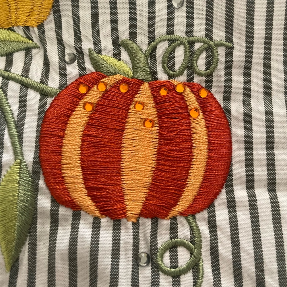 Quacker Factory | Pinstripe button down. Embroidered pumpkins. Size 2X. NWT - Picture 4 of 10